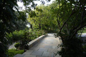 DSC7009